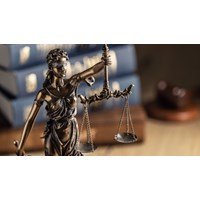 Understanding the Vietnamese Criminal Justice System