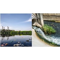 Mức xử phạt hành vi xả chất thải trái phép ra môi trường