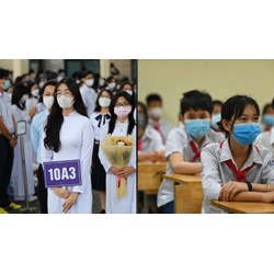 Mã định danh học sinh là gì? Cách tra cứu mã học sinh