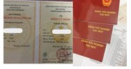 Mẫu đơn xin cấp lại bằng tốt nghiệp đại học mới nhất