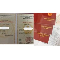 Mẫu đơn xin cấp lại bằng tốt nghiệp đại học mới nhất