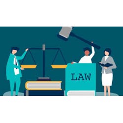 Ví dụ về một hành vi vi phạm hành chính chỉ bị xử phạt một lần