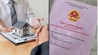 Quyền của người được ủy quyền sử dụng đất gồm những gì?