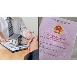 Quyền của người được ủy quyền sử dụng đất gồm những gì?