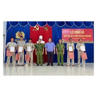 Hồ sơ đề nghị tha tù trước hạn có điều kiện gồm những gì?