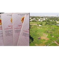Cấp Giấy chứng nhận quyền sử dụng đất, quyền sở hữu tài sản gắn liền với đất đối với trường hợp thửa đất thuộc phạm vi nhiều đơn vị hành chính cấp xã theo Điều 147 Luật đất đai 2024