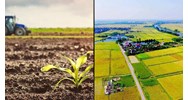 Đất nông nghiệp do tổ chức, người gốc Việt Nam định cư ở nước ngoài, tổ chức kinh tế có vốn đầu tư nước ngoài sử dụng theo Điều 180 Luật đất đai 2024