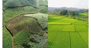 Trình tự, thủ tục cho phép chuyển mục đích sử dụng đất vào năm 2025