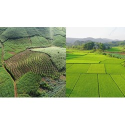 Trình tự, thủ tục cho phép chuyển mục đích sử dụng đất vào năm 2025