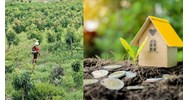 Những giấy tờ cần chuẩn bị khi chuyển đất nông nghiệp lên đất thổ cư từ ngày 01/8/2024