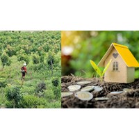 Những giấy tờ cần chuẩn bị khi chuyển đất nông nghiệp lên đất thổ cư từ ngày 01/8/2024