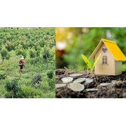 Những giấy tờ cần chuẩn bị khi chuyển đất nông nghiệp lên đất thổ cư từ ngày 01/8/2024
