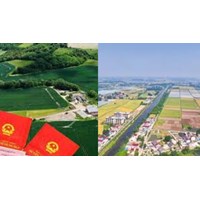 Xây nhà trên đất nông nghiệp đã nộp phạt có bị phá dỡ?