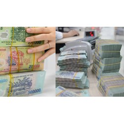 Cách tính thuế đất ở năm 2025 như thế nào? Đất ở trong các trường hợp nào được miễn thuế?