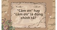 “Cảm ơn” hay “cám ơn” là đúng chính tả?