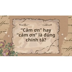 “Cảm ơn” hay “cám ơn” là đúng chính tả?