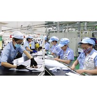 Những quy định riêng là đặc quyền đối với lao động nữ