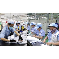 Những quy định riêng là đặc quyền đối với lao động nữ