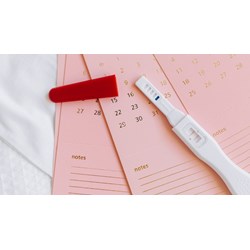 Tạm hoãn hợp đồng lao động đối với phụ nữ mang thai: Điều kiện, thủ tục, thời gian tối đa bao lâu?