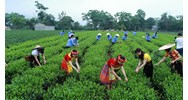 Kế hoạch chương trình mục tiêu quốc gia phát triển kinh tế - xã hội vùng đồng bào dân tộc thiểu số