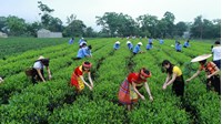 Kế hoạch chương trình mục tiêu quốc gia phát triển kinh tế - xã hội vùng đồng bào dân tộc thiểu số