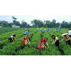 Kế hoạch chương trình mục tiêu quốc gia phát triển kinh tế - xã hội vùng đồng bào dân tộc thiểu số