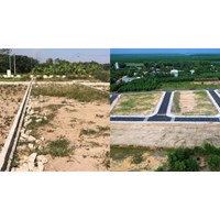 Nội dung Báo cáo 245 về điều chỉnh Bảng giá đất để tiếp tục áp dụng đến 31/12/2025