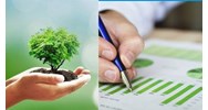 Thời điểm đánh giá sơ bộ tác động môi trường là khi nào?