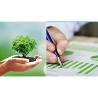 Thời điểm đánh giá sơ bộ tác động môi trường là khi nào?