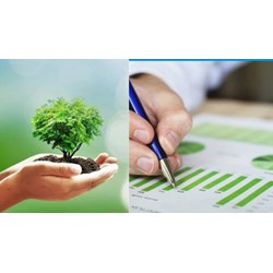 Thời điểm đánh giá sơ bộ tác động môi trường là khi nào?