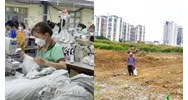 Mức hỗ trợ đào tạo, chuyển đổi nghề với người có đất nông nghiệp, đất ở bị thu hồi tại Long An