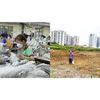 Mức hỗ trợ đào tạo, chuyển đổi nghề với người có đất nông nghiệp, đất ở bị thu hồi tại Long An