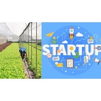 Hợp tác xã có được phép thành lập doanh nghiệp không?