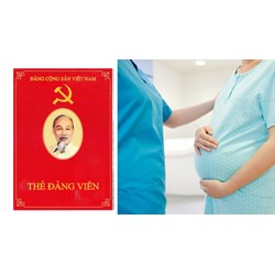 Đảng viên nghỉ thai sản có đánh giá cuối năm không?