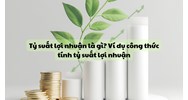 Tỷ suất lợi nhuận là gì? Ví dụ công thức tính tỷ suất lợi nhuận