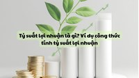 Tỷ suất lợi nhuận là gì? Ví dụ công thức tính tỷ suất lợi nhuận