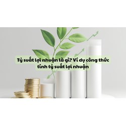 Tỷ suất lợi nhuận là gì? Ví dụ công thức tính tỷ suất lợi nhuận