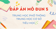Đáp án Mô đun 5 Trung học cơ sở - Đáp án Module 5 THCS
