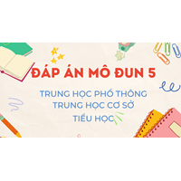Đáp án Mô đun 5 Trung học cơ sở - Đáp án Module 5 THCS