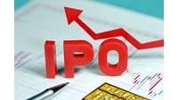Doanh nghiệp nào được phát hành chứng khoán?