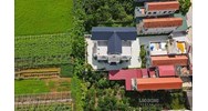 Diện tích tối thiểu tách thửa đất trồng cây hàng năm