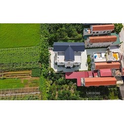 Diện tích tối thiểu tách thửa đất trồng cây hàng năm