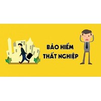 Khi nào thì không được hưởng bảo hiểm thất nghiệp theo quy định?