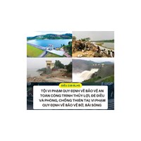 Tội vi phạm quy định về bảo vệ an toàn công trình thủy lợi, đê điều