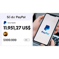 Lừa đảo qua việc mua bán số dư Paypal có phạm tội lừa đảo?