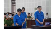 Đảng viên lừa đảo chiếm đoạt tài sản có bị khai trừ khỏi đảng không?