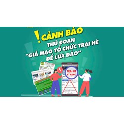Giả mạo tổ chức trại hè để lừa đảo chiếm đoạt tài sản bị xử phạt thế nào?