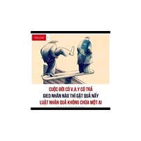 Gieo nhân nào gặp quả nấy là gì? Lừa đảo chiếm đoạt tài sản bị phạt như thế nào?