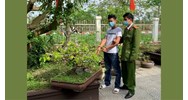 Trộm cắp chậu hoa, cây cảnh bị phạt thế nào?