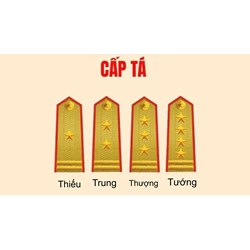 3 sao 2 vạch tương ứng với cấp bậc nào trong quân đội nhân dân Việt Nam?